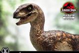 03-Jurassic-Park-Estatua-Prime-Collectibles-110-Velociraptor-Open-Mouth-19-cm.jpg