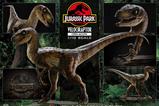05-Jurassic-Park-Estatua-Prime-Collectibles-110-Velociraptor-Open-Mouth-19-cm.jpg