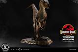 07-Jurassic-Park-Estatua-Prime-Collectibles-110-Velociraptor-Open-Mouth-19-cm.jpg