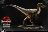 08-Jurassic-Park-Estatua-Prime-Collectibles-110-Velociraptor-Open-Mouth-19-cm.jpg