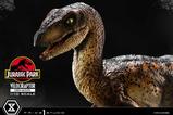 09-Jurassic-Park-Estatua-Prime-Collectibles-110-Velociraptor-Open-Mouth-19-cm.jpg