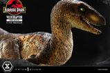10-Jurassic-Park-Estatua-Prime-Collectibles-110-Velociraptor-Open-Mouth-19-cm.jpg