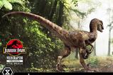 12-Jurassic-Park-Estatua-Prime-Collectibles-110-Velociraptor-Open-Mouth-19-cm.jpg