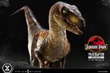 20-Jurassic-Park-Estatua-Prime-Collectibles-110-Velociraptor-Open-Mouth-19-cm.jpg