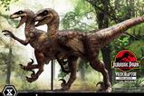 21-Jurassic-Park-Estatua-Prime-Collectibles-110-Velociraptor-Open-Mouth-19-cm.jpg