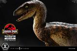 23-Jurassic-Park-Estatua-Prime-Collectibles-110-Velociraptor-Open-Mouth-19-cm.jpg