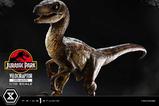 24-Jurassic-Park-Estatua-Prime-Collectibles-110-Velociraptor-Open-Mouth-19-cm.jpg