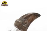 04-Jurassic-Park-Estatua-TRex-Hand-Claw-13-cm.jpg
