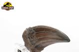 05-Jurassic-Park-Estatua-TRex-Hand-Claw-13-cm.jpg