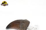 06-Jurassic-Park-Estatua-TRex-Hand-Claw-13-cm.jpg