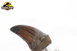 07-Jurassic-Park-Estatua-TRex-Hand-Claw-13-cm.jpg