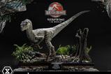 01-Jurassic-Park-III-Estatua-Legacy-Museum-Collection-16-Velociraptor-Female-44-.jpg