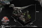 02-Jurassic-Park-III-Estatua-Legacy-Museum-Collection-16-Velociraptor-Female-44-.jpg