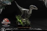 09-Jurassic-Park-III-Estatua-Legacy-Museum-Collection-16-Velociraptor-Female-44-.jpg
