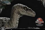 12-Jurassic-Park-III-Estatua-Legacy-Museum-Collection-16-Velociraptor-Female-44-.jpg