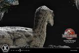 13-Jurassic-Park-III-Estatua-Legacy-Museum-Collection-16-Velociraptor-Female-44-.jpg