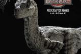 15-Jurassic-Park-III-Estatua-Legacy-Museum-Collection-16-Velociraptor-Female-44-.jpg