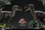 23-Jurassic-Park-III-Estatua-Legacy-Museum-Collection-16-Velociraptor-Female-44-.jpg