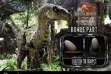19-Jurassic-Park-III-Estatua-Legacy-Museum-Collection-16-Velociraptor-Female-Bon.jpg