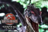 04-Jurassic-Park-III-Estatua-Legacy-Museum-Collection-16-Velociraptor-Male-40-cm.jpg