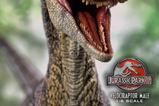 06-Jurassic-Park-III-Estatua-Legacy-Museum-Collection-16-Velociraptor-Male-40-cm.jpg