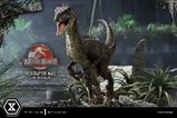 07-Jurassic-Park-III-Estatua-Legacy-Museum-Collection-16-Velociraptor-Male-40-cm.jpg