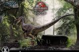 10-Jurassic-Park-III-Estatua-Legacy-Museum-Collection-16-Velociraptor-Male-40-cm.jpg