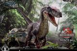 12-Jurassic-Park-III-Estatua-Legacy-Museum-Collection-16-Velociraptor-Male-40-cm.jpg