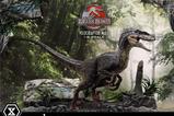 13-Jurassic-Park-III-Estatua-Legacy-Museum-Collection-16-Velociraptor-Male-40-cm.jpg