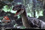 14-Jurassic-Park-III-Estatua-Legacy-Museum-Collection-16-Velociraptor-Male-40-cm.jpg