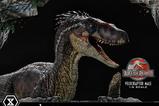 16-Jurassic-Park-III-Estatua-Legacy-Museum-Collection-16-Velociraptor-Male-40-cm.jpg