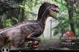 17-Jurassic-Park-III-Estatua-Legacy-Museum-Collection-16-Velociraptor-Male-40-cm.jpg