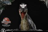 22-Jurassic-Park-III-Estatua-Legacy-Museum-Collection-16-Velociraptor-Male-40-cm.jpg
