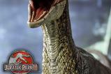 24-Jurassic-Park-III-Estatua-Legacy-Museum-Collection-16-Velociraptor-Male-40-cm.jpg