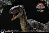 26-Jurassic-Park-III-Estatua-Legacy-Museum-Collection-16-Velociraptor-Male-40-cm.jpg