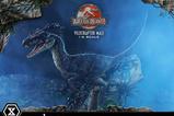 04-Jurassic-Park-III-Estatua-Legacy-Museum-Collection-16-Velociraptor-Male-Bonus.jpg