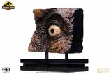 10-Jurassic-Park-Rplica-ScreenUsed-SWS-TRex-Eye-32-cm.jpg