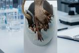 01-Jurassic-Park-Rplica-Velociraptor-Hatching-Egg-24-cm.jpg