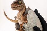 02-Jurassic-Park-Rplica-Velociraptor-Hatching-Egg-24-cm.jpg