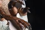 20-Jurassic-Park-Rplica-Velociraptor-Hatching-Egg-24-cm.jpg
