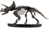 01-Jurassic-World-ECC-Elite-Creature-Line-Estatua-112-Triceratops-Fossil-Skeleto.jpg