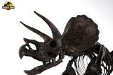 09-Jurassic-World-ECC-Elite-Creature-Line-Estatua-112-Triceratops-Fossil-Skeleto.jpg