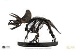 10-Jurassic-World-ECC-Elite-Creature-Line-Estatua-112-Triceratops-Fossil-Skeleto.jpg