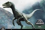 06-Jurassic-World-Film-Prime-Collectible-Figures-Estatua-110-Blue-17-cm.jpg