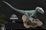 08-Jurassic-World-Film-Prime-Collectible-Figures-Estatua-110-Blue-17-cm.jpg
