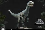 10-Jurassic-World-Film-Prime-Collectible-Figures-Estatua-110-Blue-17-cm.jpg