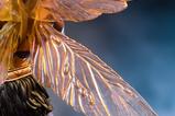 09-Masters-of-the-Universe-Estatua-110-Art-Scale-BuzzOff-36-cm.jpg