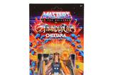 03-Masters-of-the-Universe-x-ThunderCats-Figura-Cheetara-14-cm.jpg