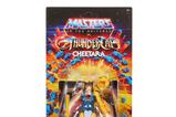 04-Masters-of-the-Universe-x-ThunderCats-Figura-Cheetara-14-cm.jpg