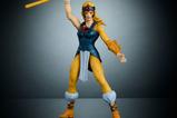 08-Masters-of-the-Universe-x-ThunderCats-Figura-Cheetara-14-cm.jpg